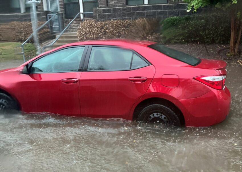 Corolla rain water